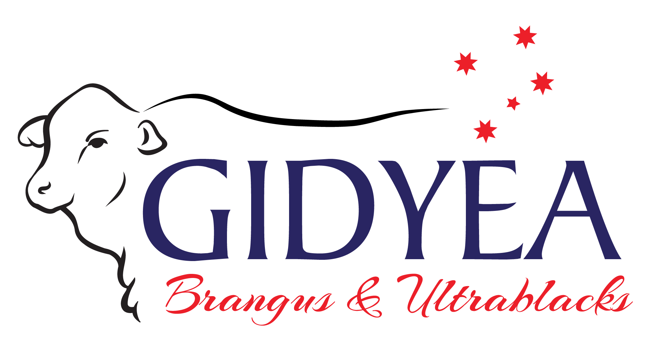 Gidyea Brangus Bulls Logo